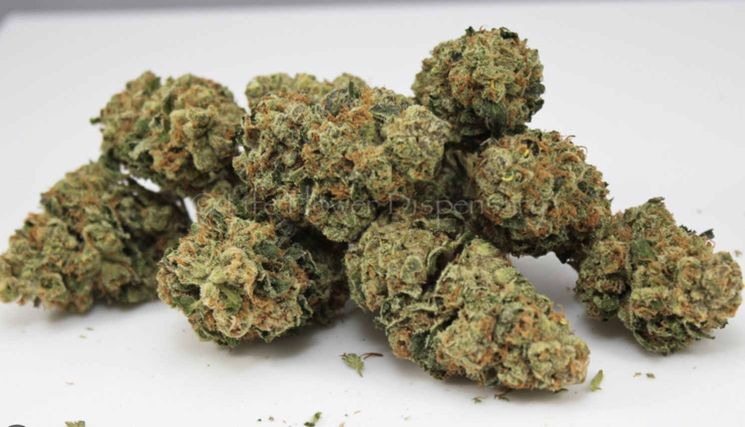 Hazmat OG